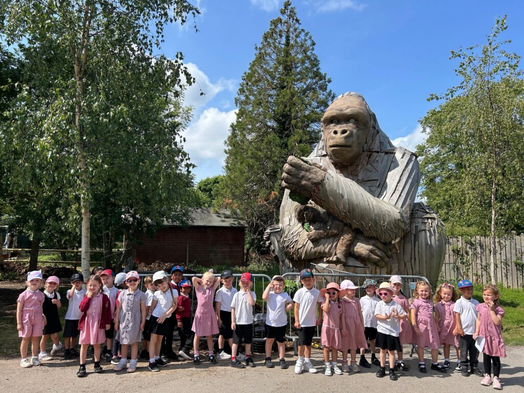 Reception Summer B Update