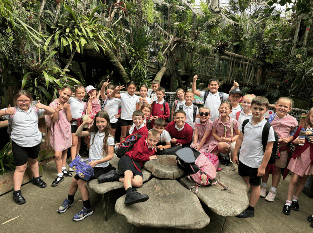 Year 3 Summer B Update